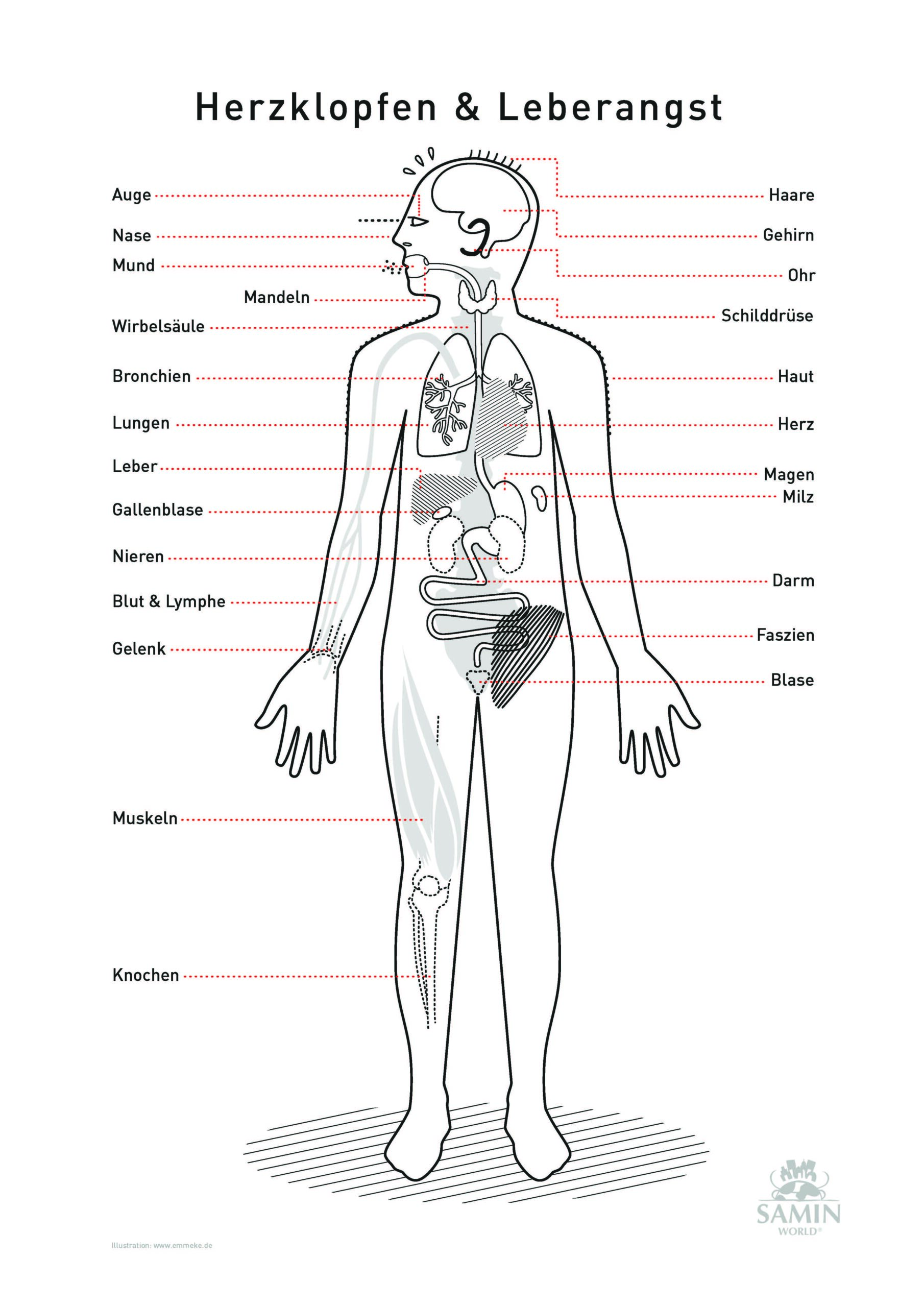 Ein Poster mit einer Illustration eines Menschen, der verschiedene Organe eingezeichnet hat